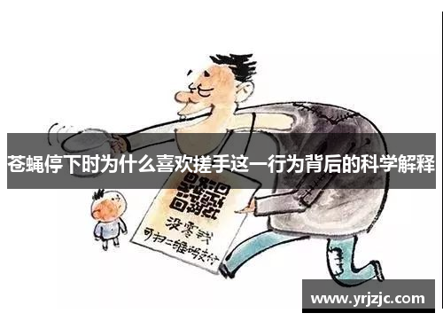 苍蝇停下时为什么喜欢搓手这一行为背后的科学解释